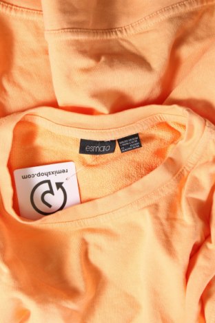 Damen Shirt Esmara, Größe XL, Farbe Orange, Preis € 5,99