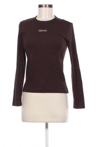 Damen Shirt Esprit, Größe S, Farbe Braun, Preis € 8,99