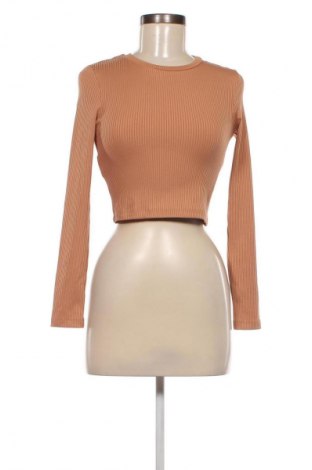 Damen Shirt Mango, Größe XS, Farbe Beige, Preis € 5,99