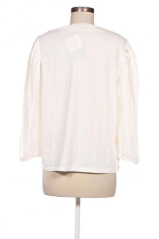 Damen Shirt Massimo Dutti, Größe L, Farbe Weiß, Preis 31,50 €