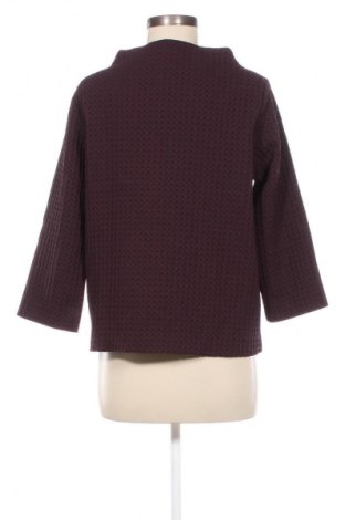 Damen Shirt Opus, Größe M, Farbe Lila, Preis € 10,49