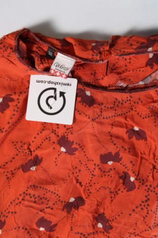 Damen Shirt Qiero!, Größe M, Farbe Orange, Preis € 4,49