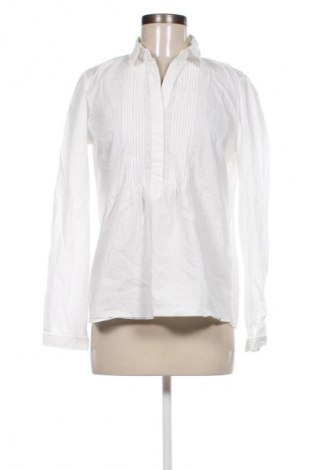 Damen Shirt Sand, Größe L, Farbe Weiß, Preis € 33,99