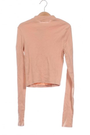 Damen Shirt Terranova, Größe XS, Farbe Orange, Preis € 5,99