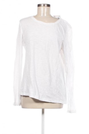 Damen Shirt Tom Tailor, Größe XL, Farbe Weiß, Preis 23,99 €