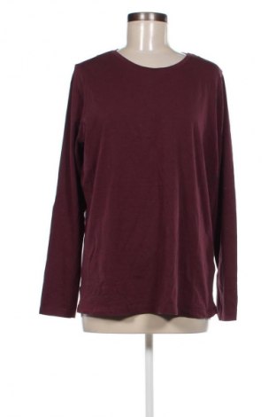 Damen Shirt Witteveen, Größe XL, Farbe Rot, Preis € 13,49