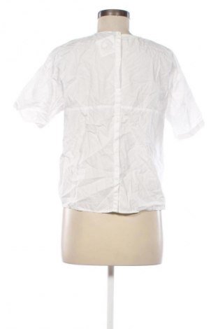 Damen Shirt Zara, Größe S, Farbe Weiß, Preis 5,99 €