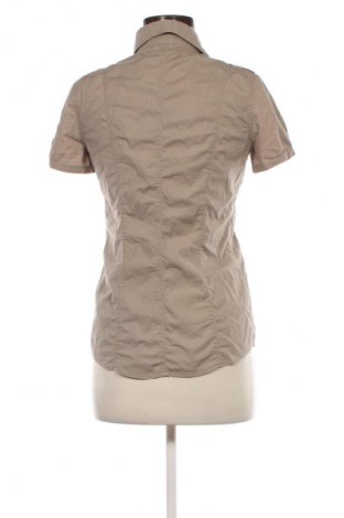 Damenbluse, Größe M, Farbe Beige, Preis 5,49 €