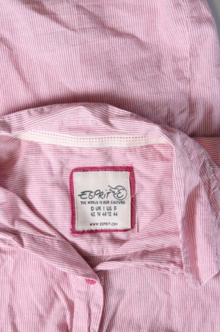 Damenbluse Esprit, Größe L, Farbe Rosa, Preis € 12,49