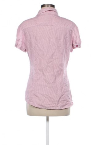 Damenbluse Esprit, Größe L, Farbe Rosa, Preis € 12,49