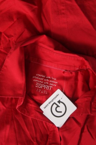 Damenbluse Esprit, Größe S, Farbe Rot, Preis € 9,99