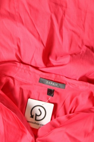 Damenbluse Esprit, Größe S, Farbe Rosa, Preis 12,49 €