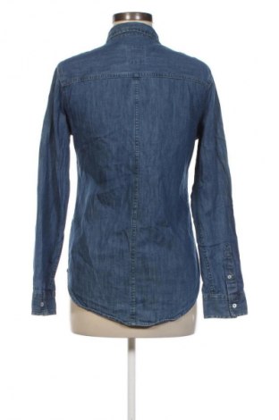 Damenbluse Hollister, Größe S, Farbe Blau, Preis 9,99 €