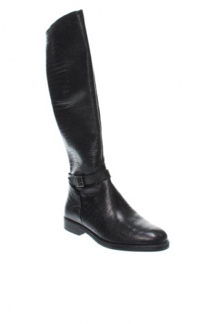 Damenstiefel Jonak, Größe 36, Farbe Schwarz, Preis 130,99 €