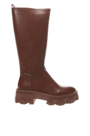 Damenstiefel Xti, Größe 37, Farbe Braun, Preis € 40,79