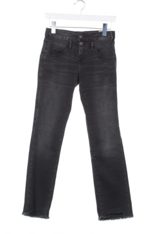 Damen Jeans Herrlicher, Größe XS, Farbe Grau, Preis € 44,99