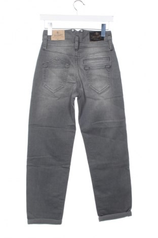 Damen Jeans Herrlicher, Größe XS, Farbe Grau, Preis € 26,99