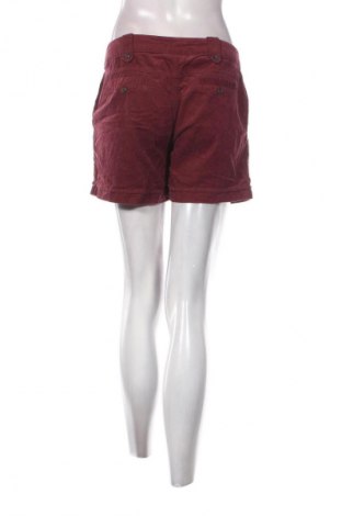 Damen Shorts Colours Of The World, Größe L, Farbe Rot, Preis 8,99 €