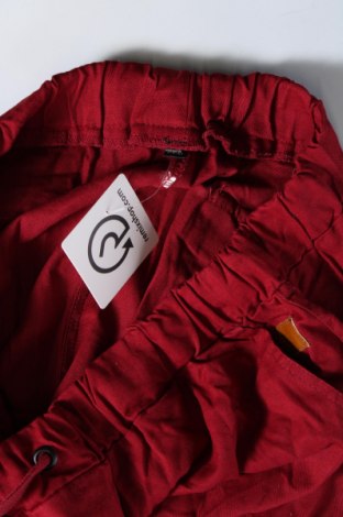 Damenhose, Größe XXL, Farbe Rot, Preis € 9,49