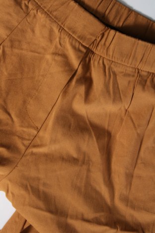 Damenhose, Größe L, Farbe Braun, Preis 6,99 €