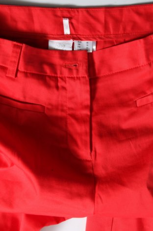 Damenhose Alba Moda, Größe S, Farbe Rot, Preis € 6,99