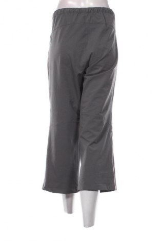 Damenhose Crane, Größe XL, Farbe Grau, Preis € 6,99