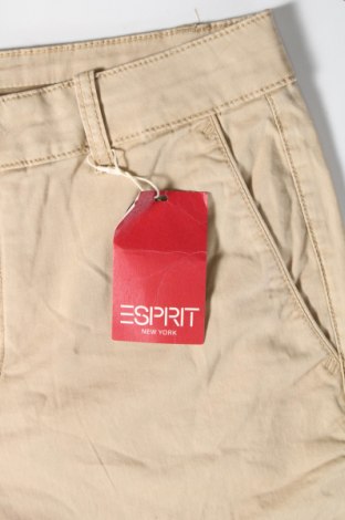 Damenhose Esprit, Größe M, Farbe Beige, Preis 11,49 €