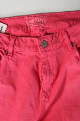 Damenhose Esprit, Größe L, Farbe Rosa, Preis € 13,99