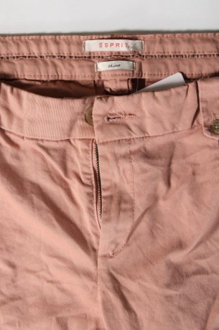 Damenhose Esprit, Größe M, Farbe Rosa, Preis 6,99 €