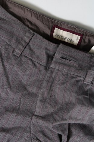 Damenhose Esprit, Größe M, Farbe Grau, Preis € 6,99