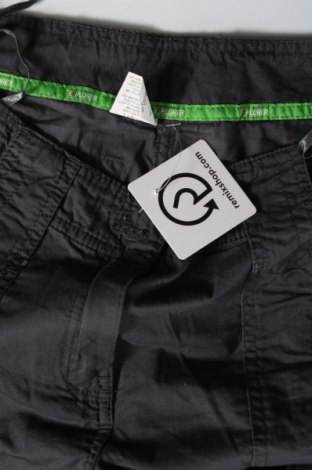 Damenhose Explorer, Größe L, Farbe Grau, Preis € 12,49