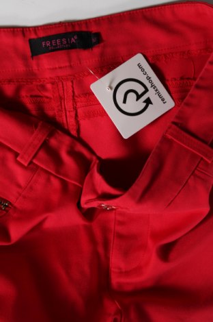 Damenhose Freesia, Größe M, Farbe Rot, Preis 13,99 €