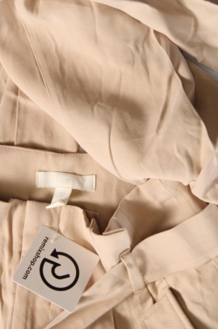 Damenhose H&M, Größe XS, Farbe Beige, Preis € 7,99