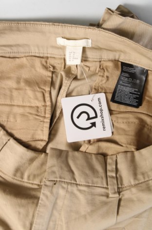 Damenhose H&M, Größe XL, Farbe Beige, Preis 6,99 €