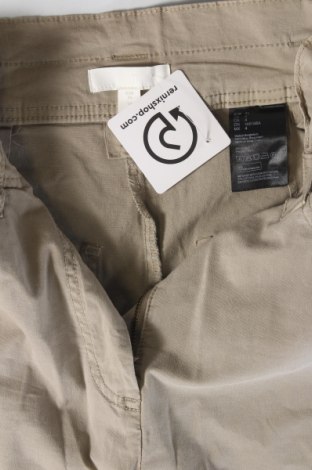 Damenhose H&M, Größe S, Farbe Grün, Preis € 8,99