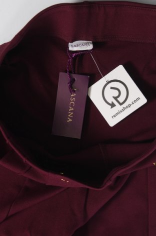 Damenhose Lascana, Größe M, Farbe Lila, Preis € 10,99