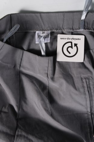 Damenhose New Fashion, Größe XXL, Farbe Grau, Preis € 9,29