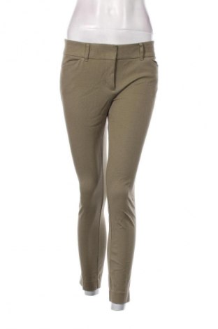 Damenhose New York & Company, Größe S, Farbe Grün, Preis € 6,99