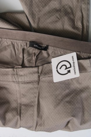 Damenhose Opus, Größe M, Farbe Grau, Preis 16,99 €