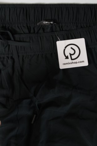 Damenhose Opus, Größe L, Farbe Grün, Preis 23,99 €