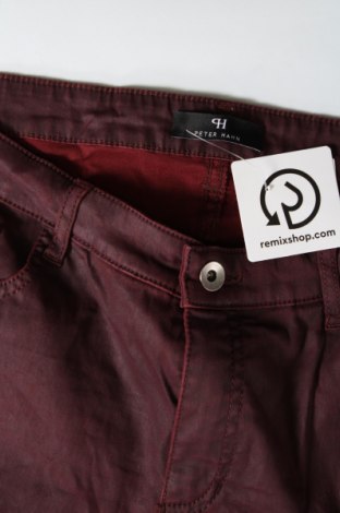 Damenhose Peter Hahn, Größe L, Farbe Rot, Preis € 12,99