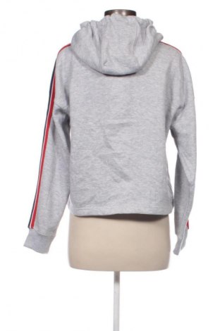 Damen Sweatshirt Eight2Nine, Größe L, Farbe Grau, Preis 26,49 €