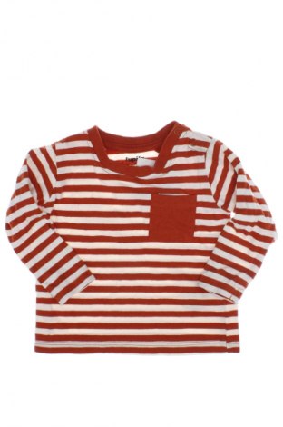 Kinder Shirt Lupilu, Größe 3-6m/ 62-68 cm, Farbe Mehrfarbig, Preis 3,79 €