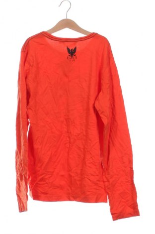 Kinder Shirt Original Marines, Größe 15-18y/ 170-176 cm, Farbe Orange, Preis € 2,99