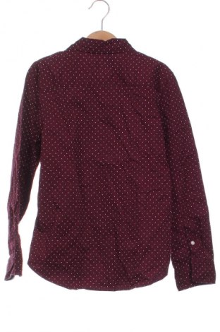 Kinderhemd H&M L.O.G.G., Größe 8-9y/ 134-140 cm, Farbe Rot, Preis 3,99 €