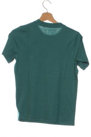 Tricou pentru copii Abercrombie Kids, Mărime 11-12y/ 152-158 cm, Culoare Verde, Preț 91,49 Lei