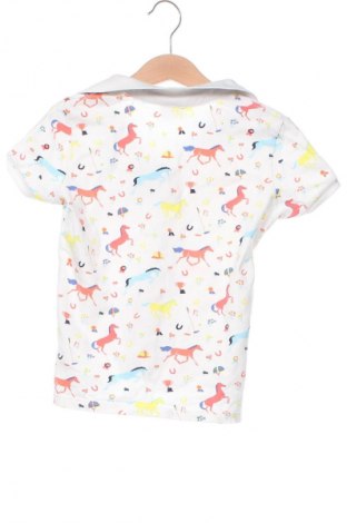 Kinder T-Shirt U.S. Polo Assn., Größe 4-5y/ 110-116 cm, Farbe Mehrfarbig, Preis 6,49 €