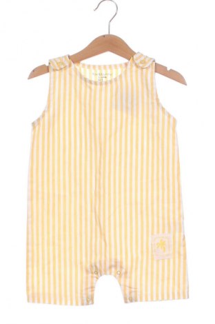 Kinder Overall Sinsay, Größe 9-12m/ 74-80 cm, Farbe Mehrfarbig, Preis € 16,37