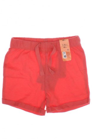 Kinder Shorts Primark, Größe 3-6m/ 62-68 cm, Farbe Rot, Preis € 4,99