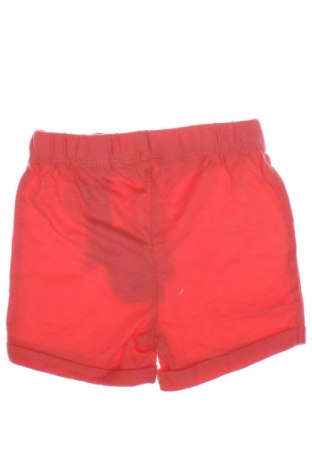 Kinder Shorts Primark, Größe 3-6m/ 62-68 cm, Farbe Rot, Preis € 4,99